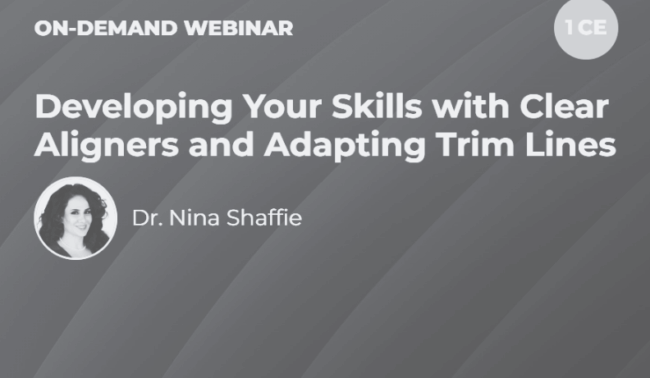 Blog -Dr Nina Shaffie