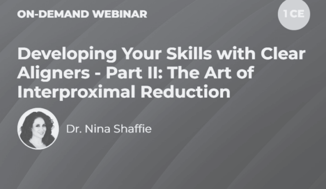 Blog -Dr Nina Shaffie