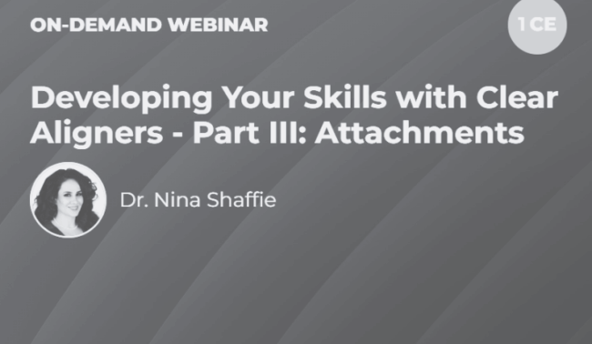 Blog -Dr Nina Shaffie